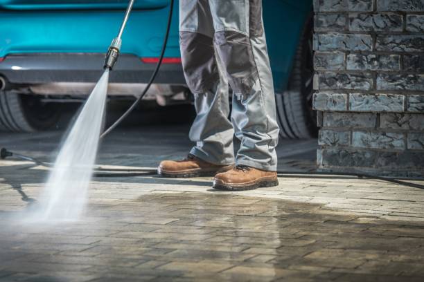 Best Soft Washing  in Edenton, NC